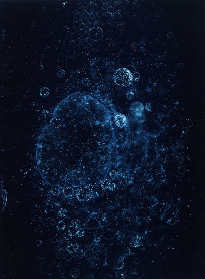 Aporia - Sarah Tehan